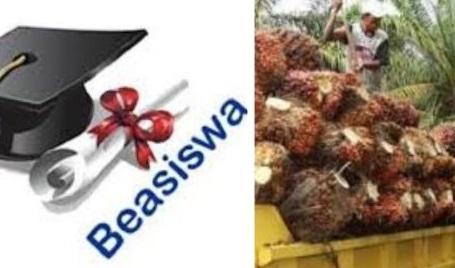 Keluarga Buruh Sawit Juga Bisa Dapat Beasiswa, Ini Persyaratan
