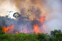 Dilanda Kabut Asap Bukan Hanya Picu ISPA, Ini Daftar Risiko Penyakit Terdampak